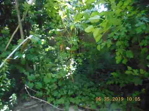 2538 Fullerton (8)_m.jpg